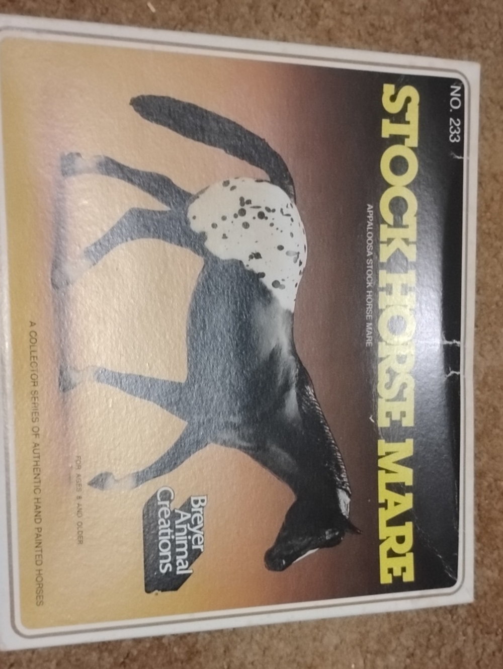 Stock Horse Mare in Black and White